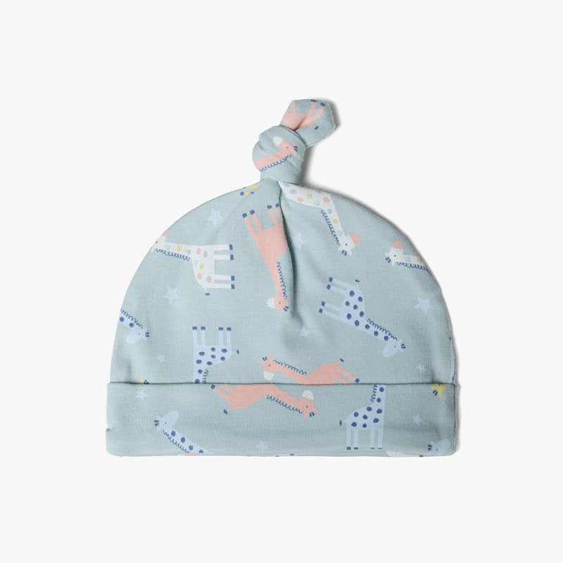 Baby Boy Blue Hats (2 Pack)