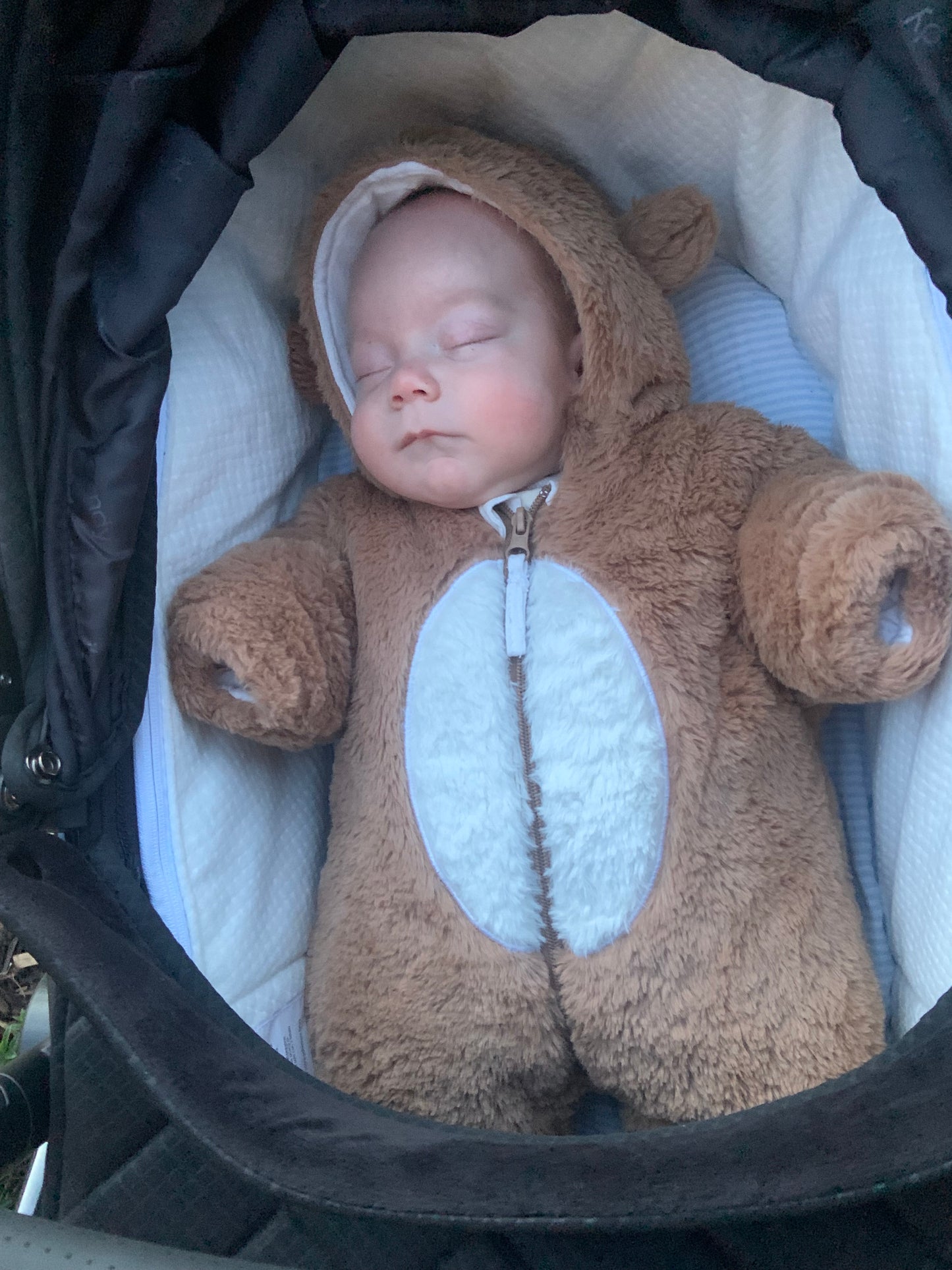 Baby Bear Snowsuit Pramsuit